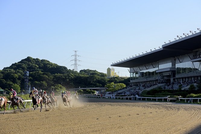 🏇 사가 경마장 (사가케이바조) 이미지 8